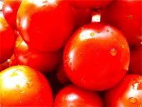 Tomate Madruro de hacer 1 kg